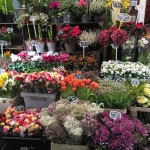 Flower Market | Paris 11th Tour | DeliciousPerspective.com