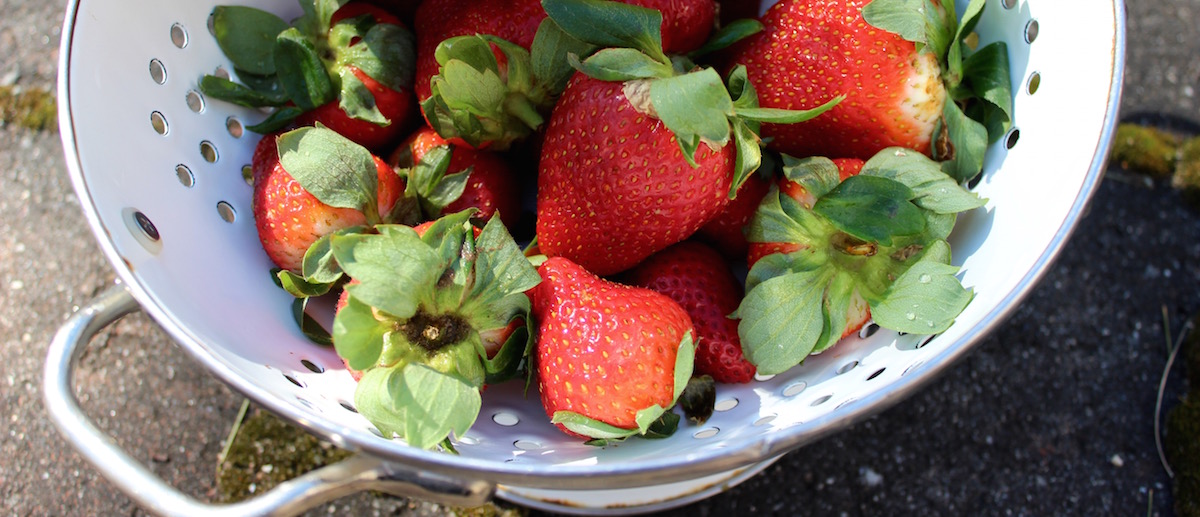 Organic Strawberries - Fruit Smoothie - DeliciousPerspective.com