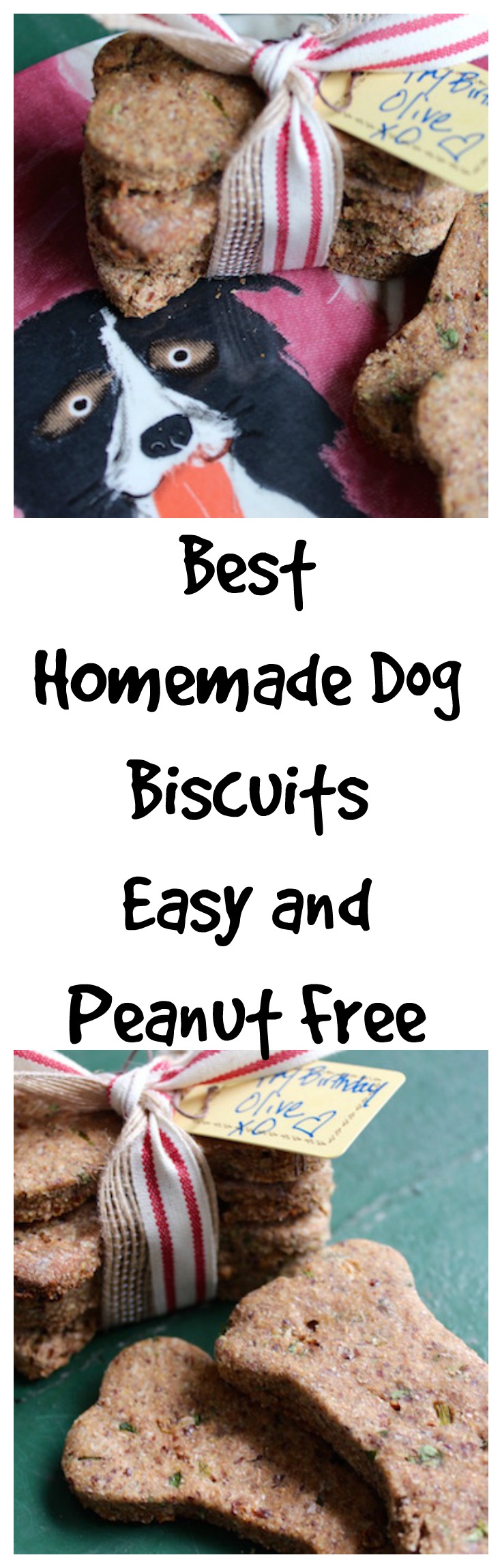 Homemade Dog Biscuits - easy and peanut free | DeliciousPerspective.com