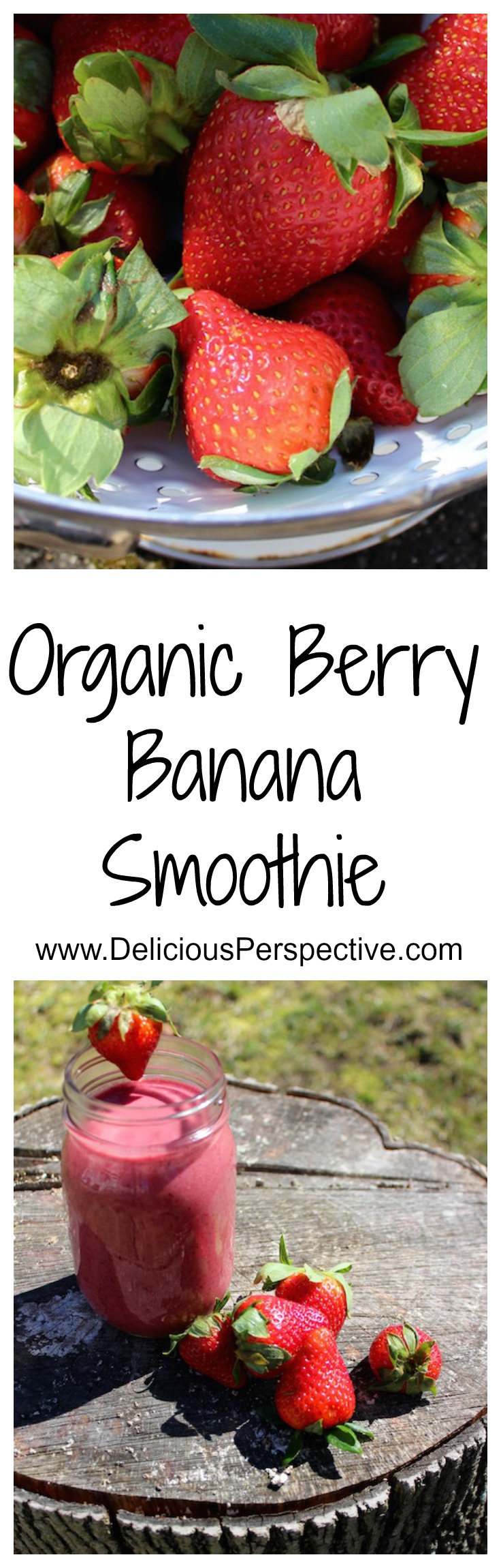 Organic Berry Banana Smoothie || DeliciousPerspective.com