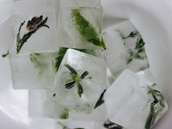 Herbed Ice Cubes | DeliciousPerspective.com